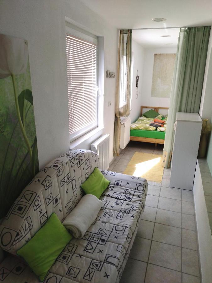 Apartma Peter1A Begunje na Gorenjskem Buitenkant foto