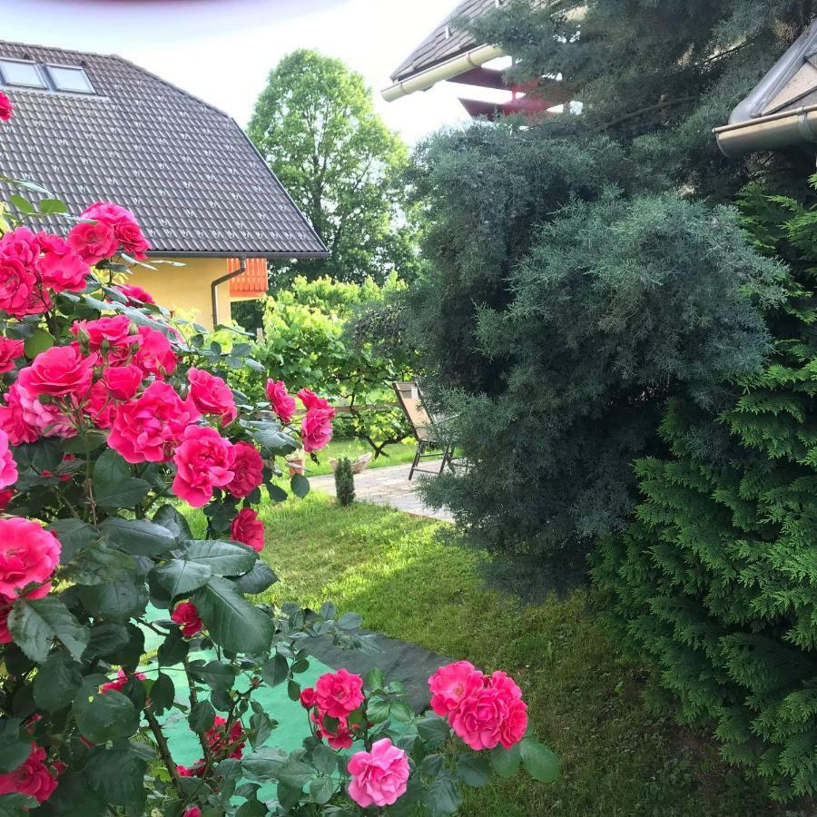 Apartma Peter1A Begunje na Gorenjskem Buitenkant foto